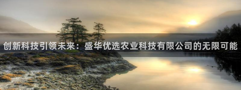 创新科技引领未来：盛华优选农业科技有限公司的无限可能