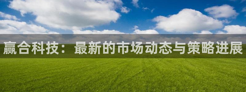 赢合科技：最新的市场动态与策略进展
