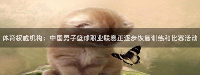 体育权威机构：中国男子篮球职业联赛正逐步恢复训练和比赛活动