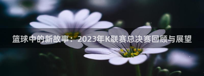 篮球中的新故事：2023年K联赛总决赛回顾与展望