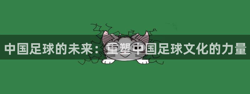 中国足球的未来：重塑中国足球文化的力量