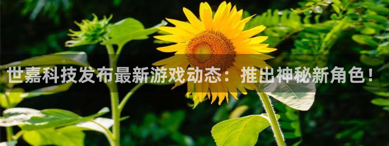 世嘉科技发布最新游戏动态：推出神秘新角色！