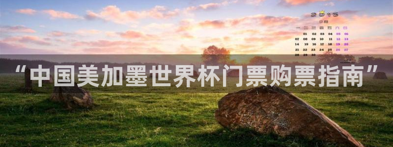 “中国美加墨世界杯门票购票指南”