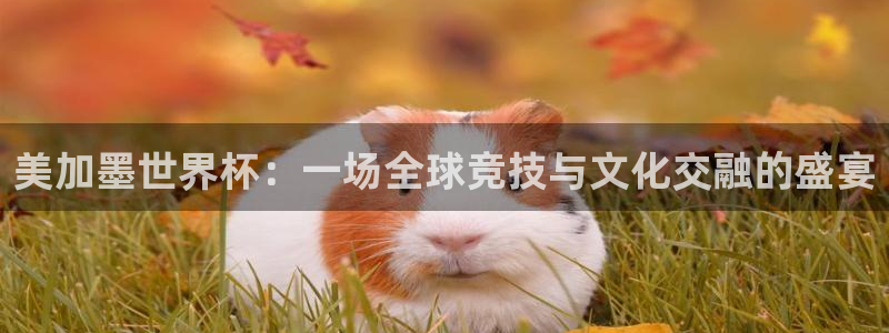 美加墨世界杯：一场全球竞技与文化交融的盛宴