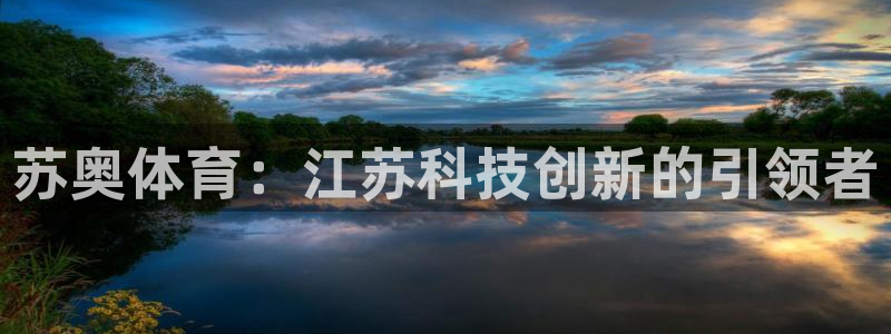 苏奥体育：江苏科技创新的引领者