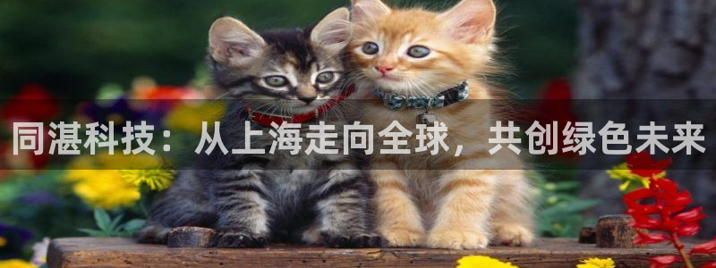 同湛科技：从上海走向全球，共创绿色未来