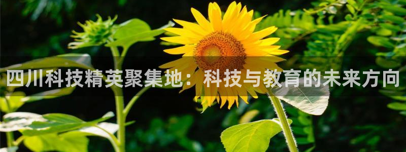 四川科技精英聚集地：科技与教育的未来方向