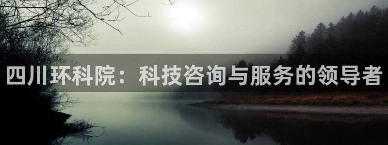 四川环科院：科技咨询与服务的领导者