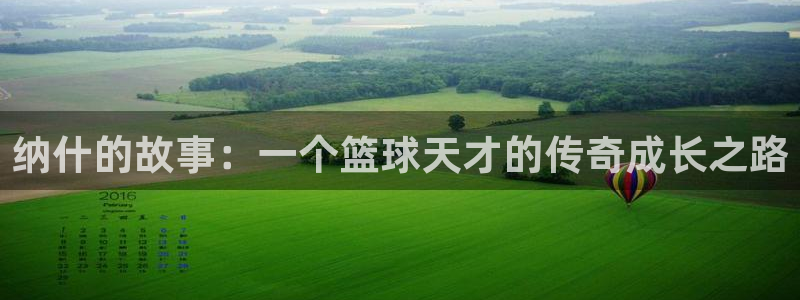 纳什的故事：一个篮球天才的传奇成长之路
