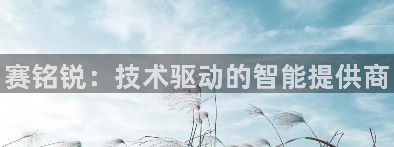 赛铭锐：技术驱动的智能提供商