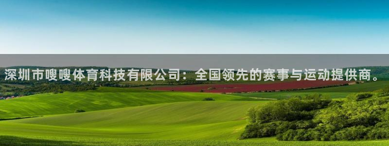 深圳市嗖嗖体育科技有限公司：全国领先的赛事与运动提供商。
